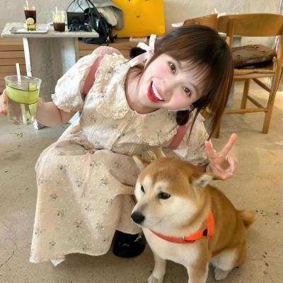 婉丽